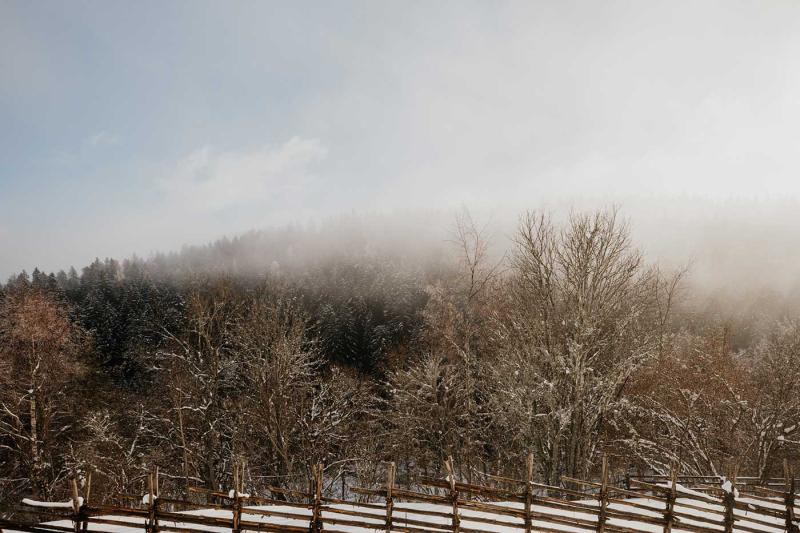 landschaft-zaun-seiser